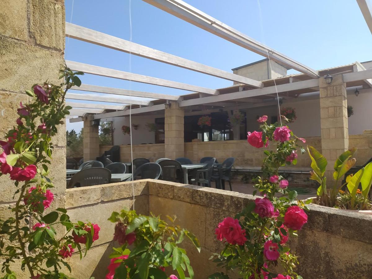 Agriturismo "Terra D'Ulivi" Porto Cesareo Zewnętrze zdjęcie
