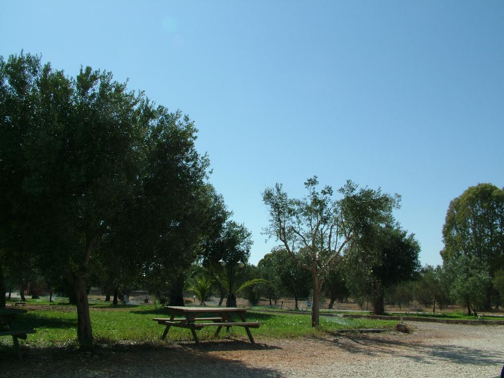 Agriturismo "Terra D'Ulivi" Porto Cesareo Pokój zdjęcie