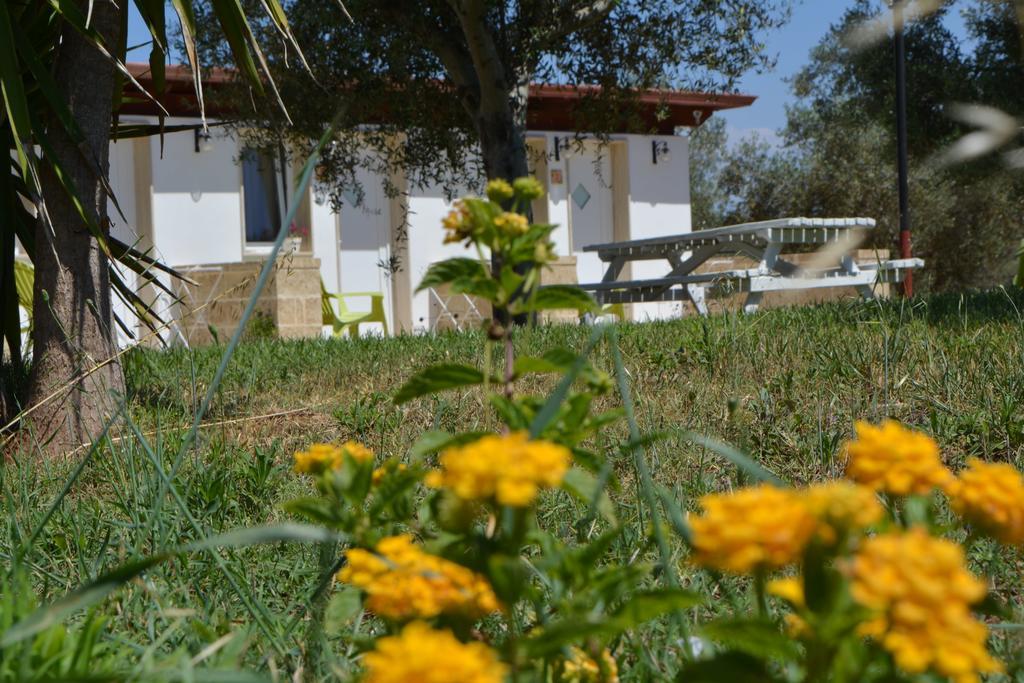 Agriturismo "Terra D'Ulivi" Porto Cesareo Zewnętrze zdjęcie